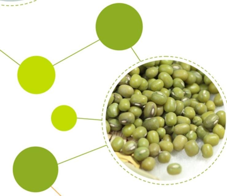 Dried Mung Bean 500gm China