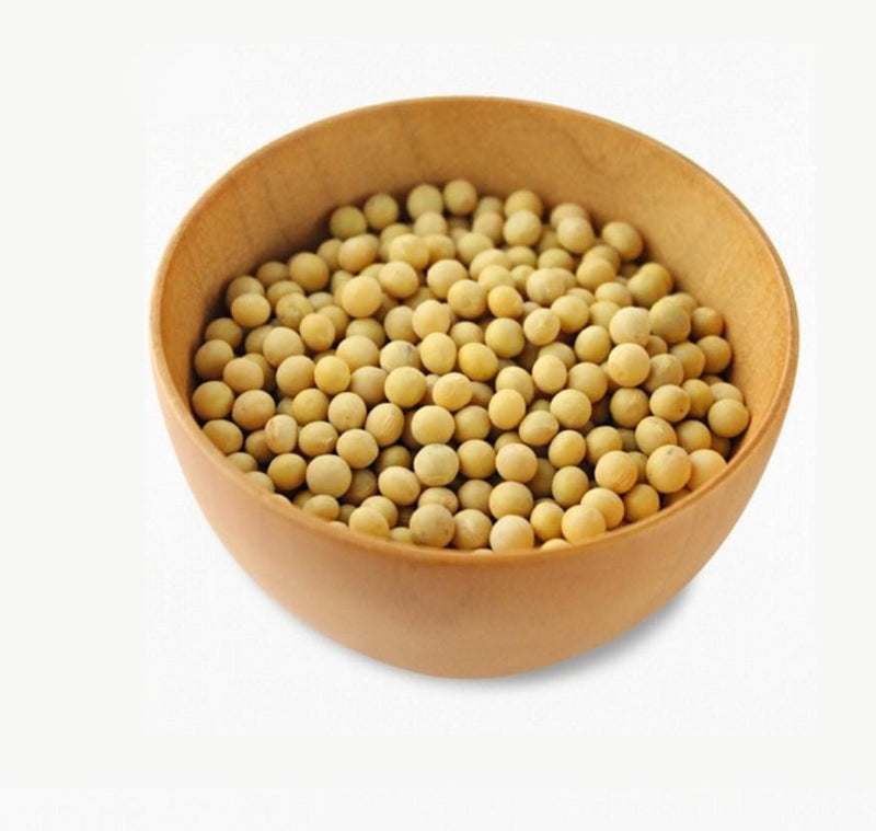 Dried Soya Bean Seed 500gm China