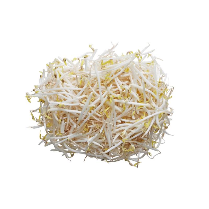 Fresh Bean Sprout 500gm Fresh