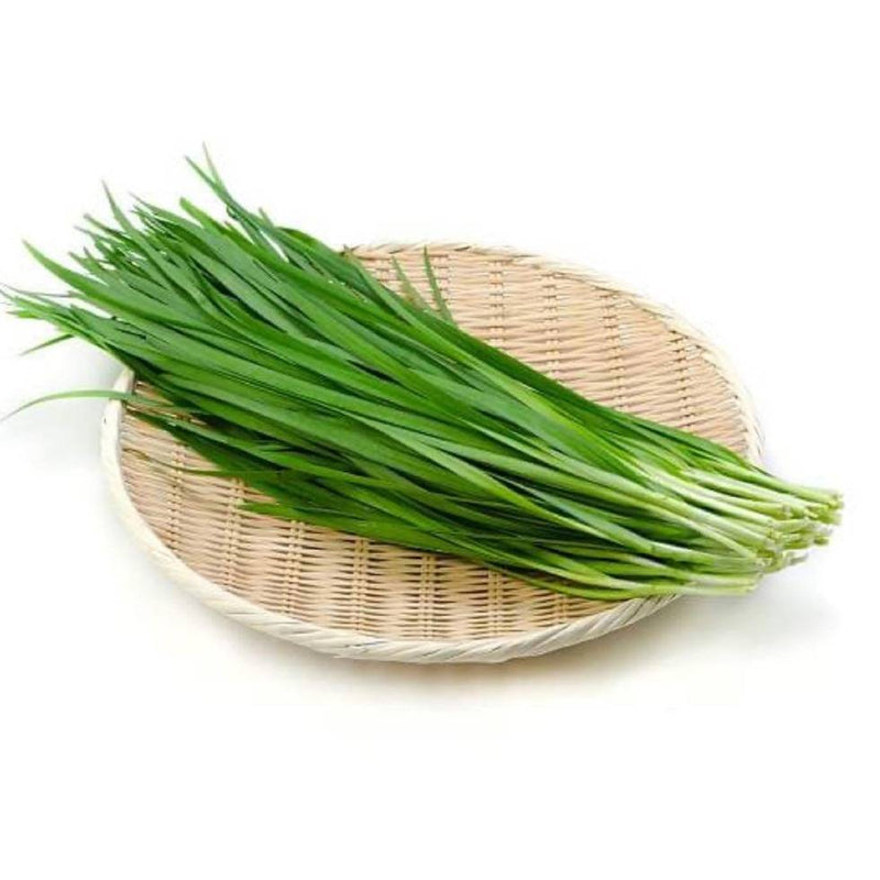 Fresh Chinese Chives 500gm China Fresh