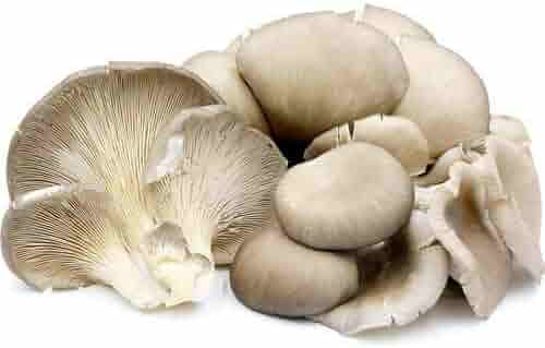 Fresh Oyster Mushroom 200gm China Fresh