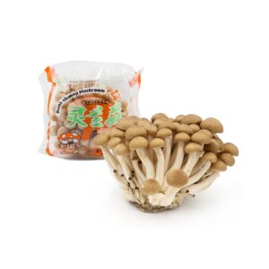 Fresh Shimeji Mushroom Brown 150gm China Fresh