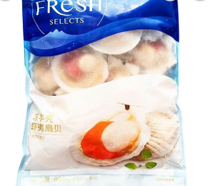 Frozen Half Shell Scallop 800gm China CHANGZIDAO Brand