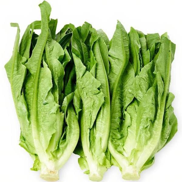 Romaine Lettuce (You Mai Cai) 500gm China Fresh